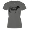 Ladies Performance Tee Thumbnail