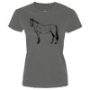 Ladies Performance Tee Thumbnail