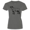 Ladies Performance Tee Thumbnail